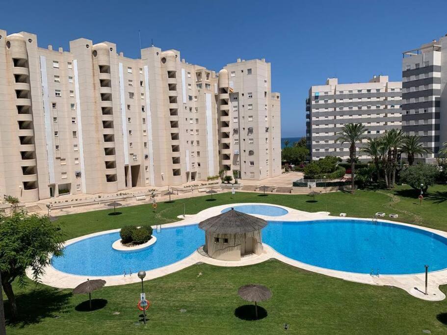 Apartamento - Playa El Campello Urbanizacion Jardin Del Mar Экстерьер фото